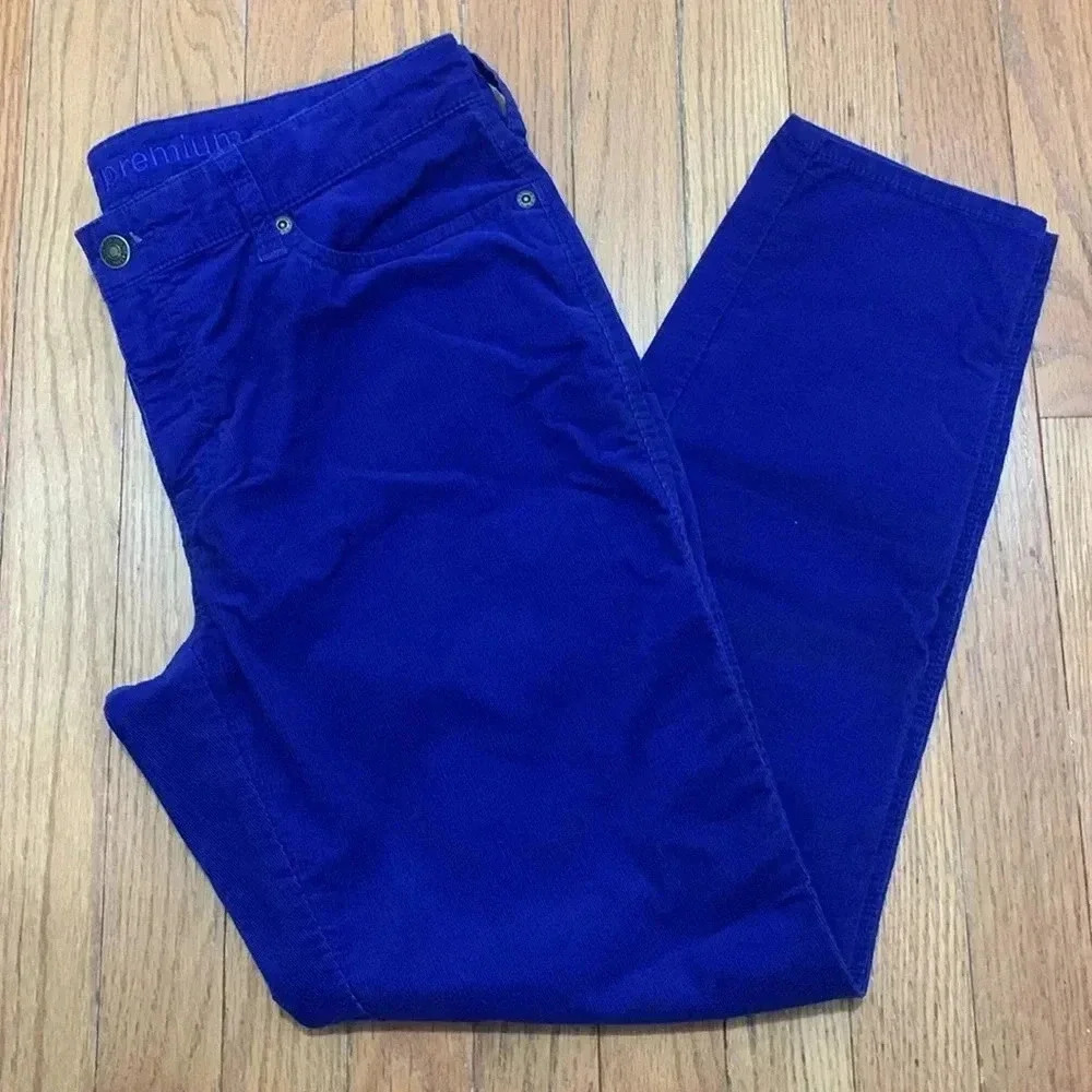 Women’s Gap Premium‎ Skinny Corduroy Jeans Size 10 Blue EUC